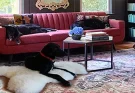 Sheepskin Rugs for Pets: Creating a Cosy and Stylish Space for Your Furry Friends