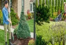 Seasonal Lawn Care Tips for Homeowners