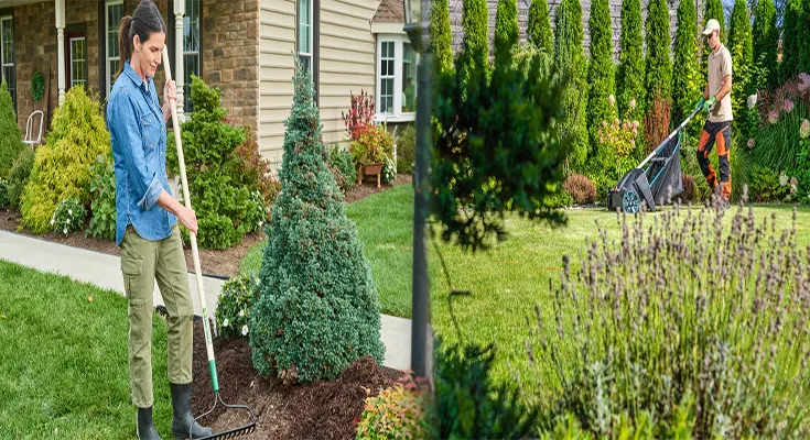 Seasonal Lawn Care Tips for Homeowners