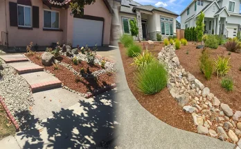 The Role of Professional Landscaping Companies in Creating Drought-Resistant Lawns