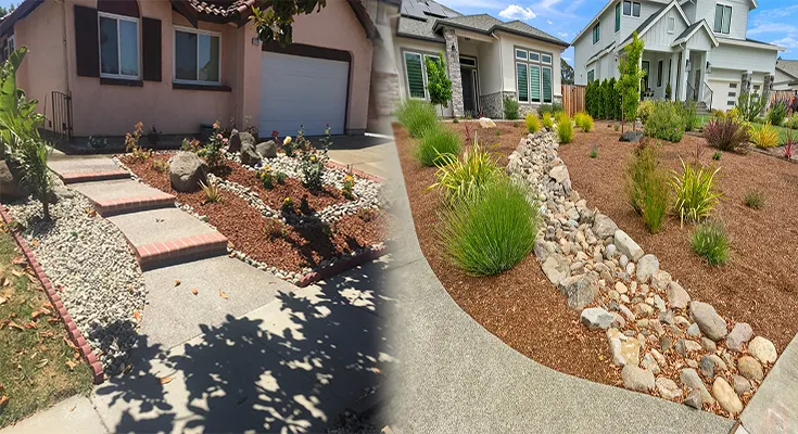 The Role of Professional Landscaping Companies in Creating Drought-Resistant Lawns